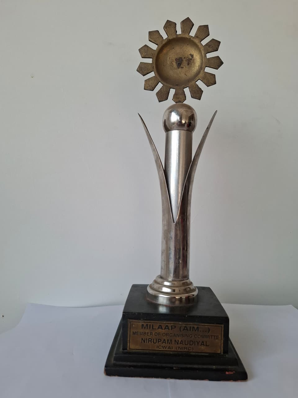 Award 5